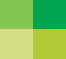 Green squares2